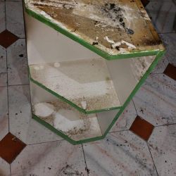 Mueble de esquina de cocina blanco y verde con hollín